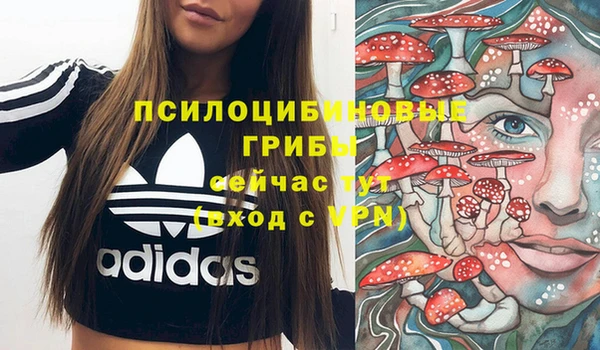 спайс Белокуриха