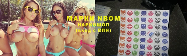 ПСИЛОЦИБИНОВЫЕ ГРИБЫ Приозерск